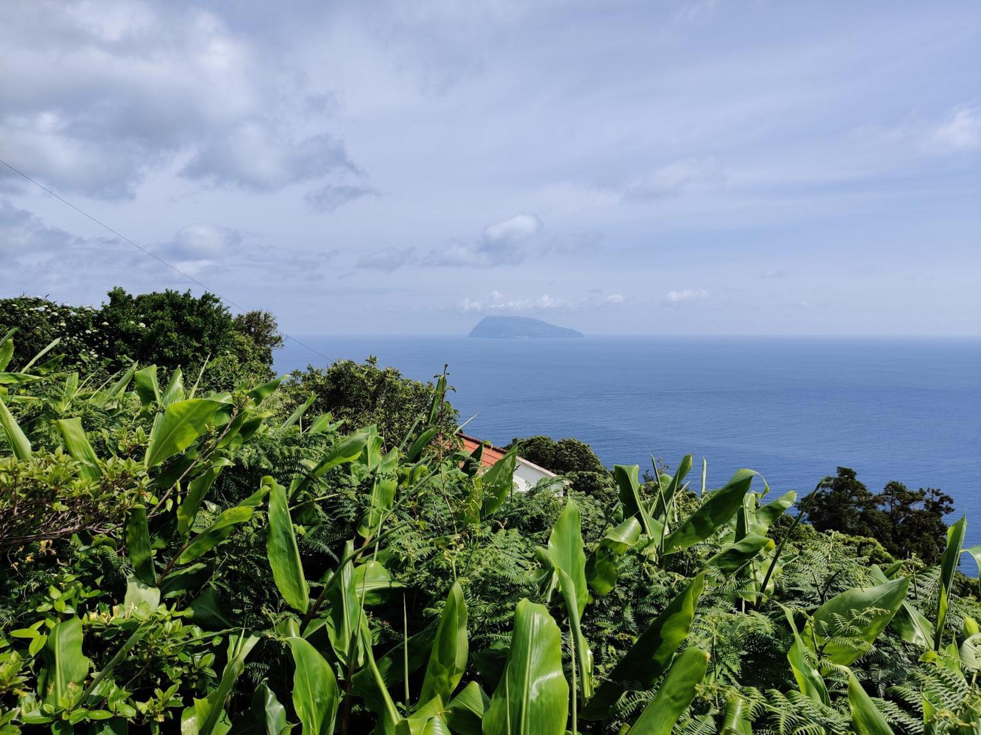 Вилла Ocean View Cedros Санта-Круш-даш-Флориш Экстерьер фото